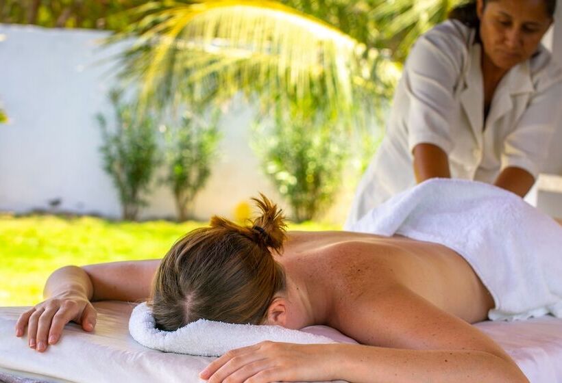 בית מלון כפרי Refugios Parajuru