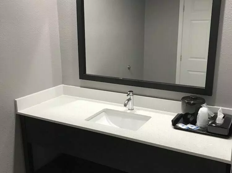 Hotelli Rodeway Inn South