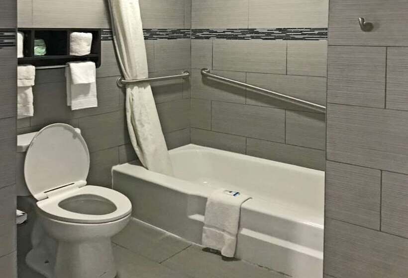 Otel Rodeway Inn South