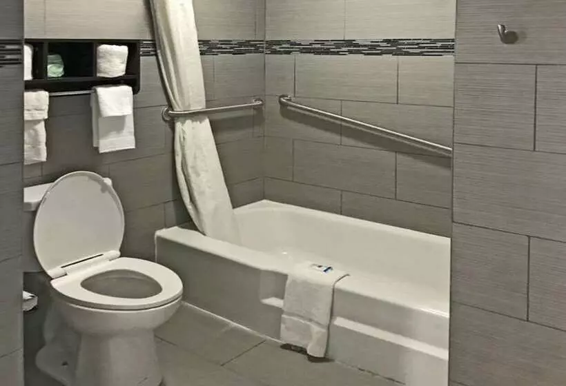 Hotelli Rodeway Inn South