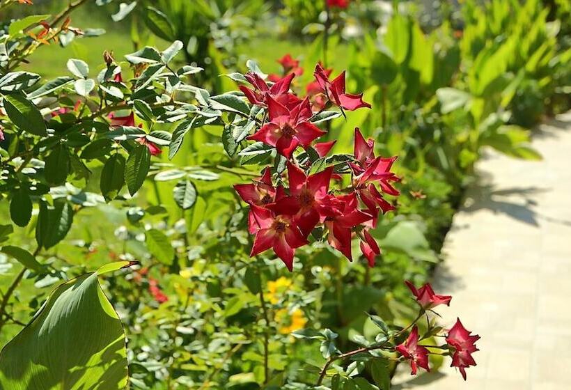 فندق Saint George Resort