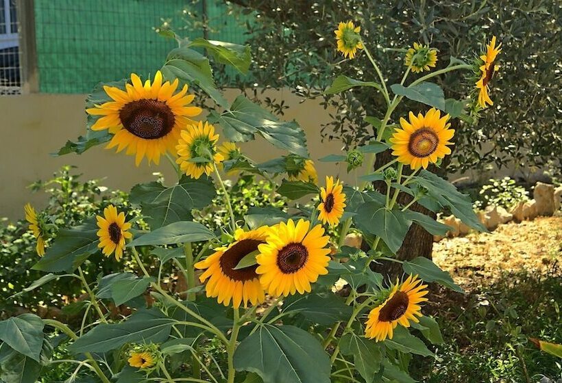 فندق Saint George Resort