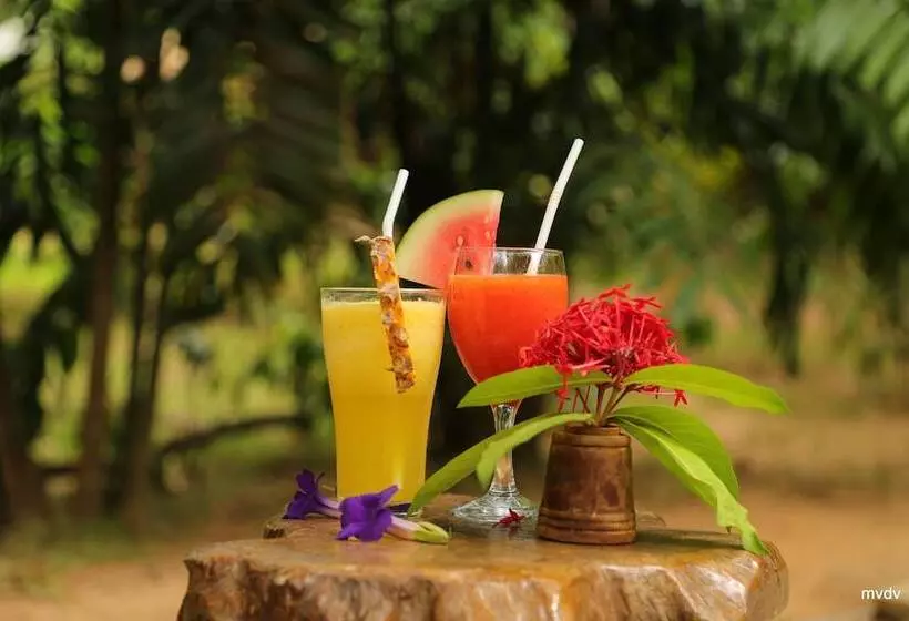 ホテル The Other Corner