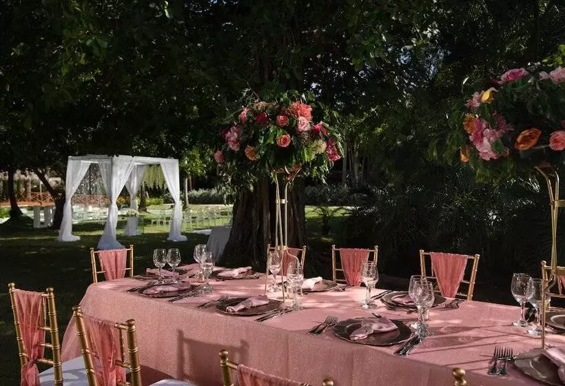 Lomakeskus Impressive Premium Punta Cana - All Inclusive