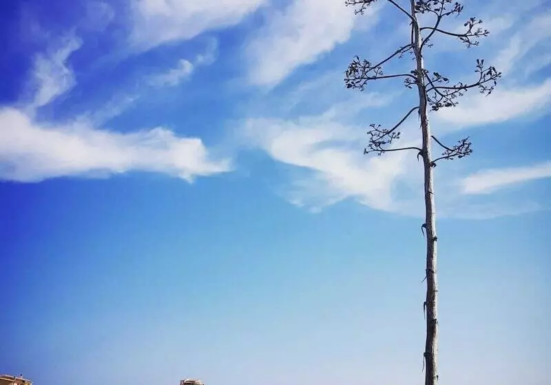 ベッドアンドブレックファースト Concas Apartament