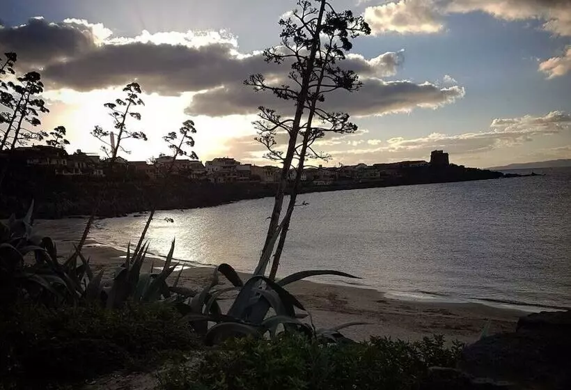 ベッドアンドブレックファースト Concas Apartament