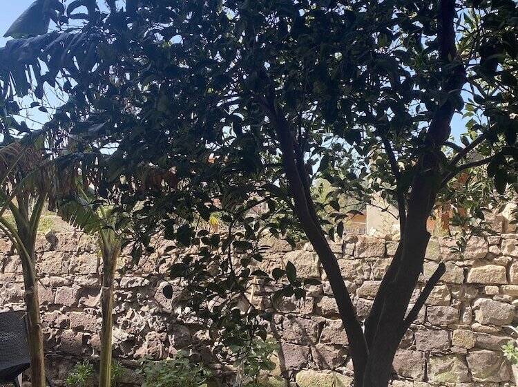 ベッドアンドブレックファースト Concas Apartament