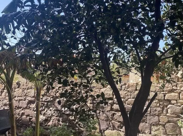 ベッドアンドブレックファースト Concas Apartament