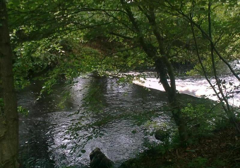 住宿加早餐  St. Bridget's