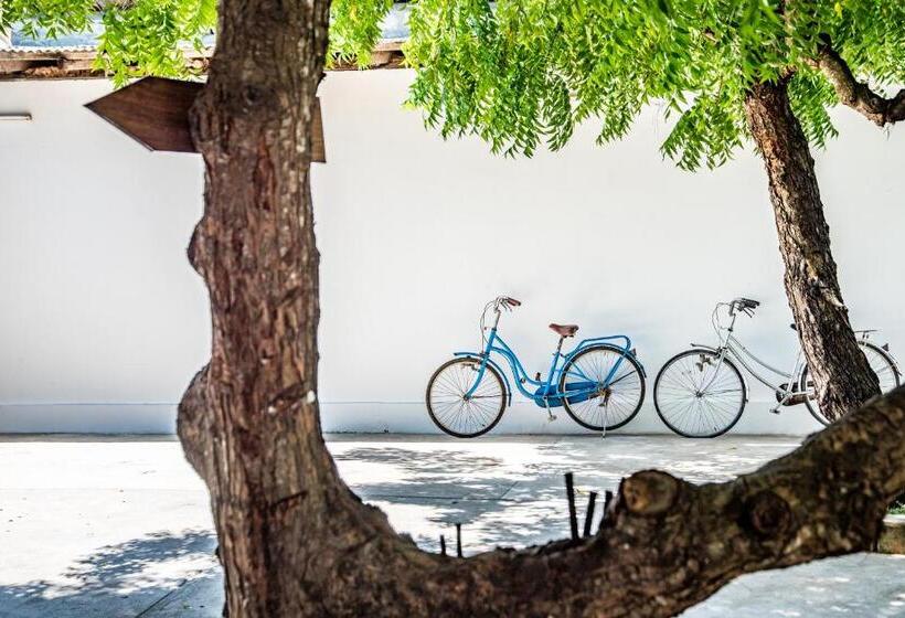 Ahg Dream S Bay Beach Hotel   Adults Only