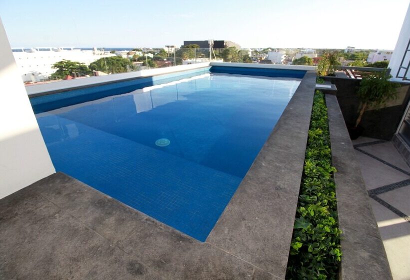 Attraction Hotel Deluxe