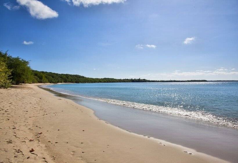 هتل Miller's Guest House