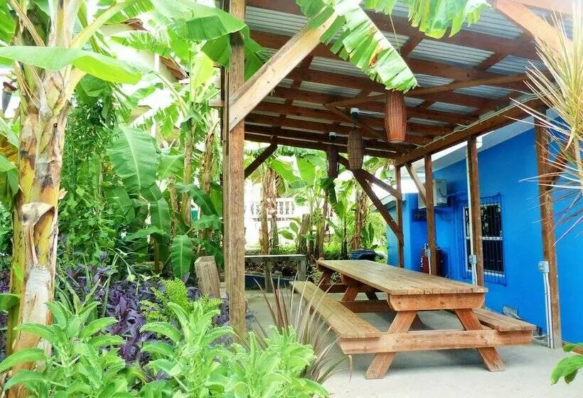 هتل Miller's Guest House