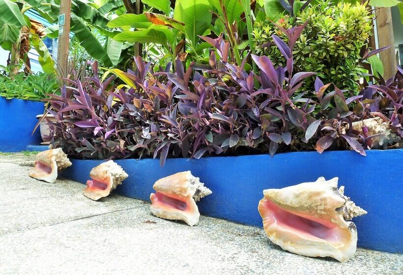 هتل Miller's Guest House