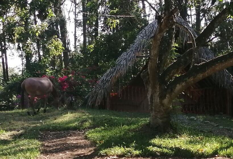 هتل Villas Del Lago Lake Resort & Campground