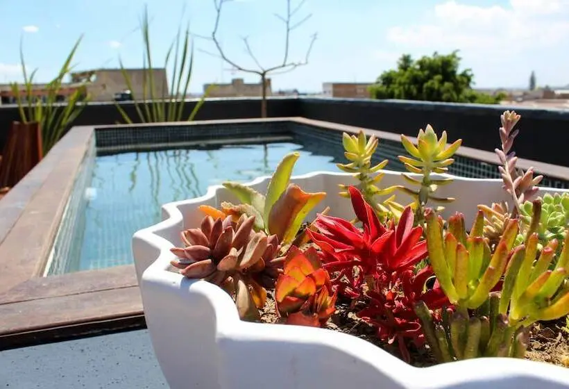 Elena De Cobre, Leon, A Member Of Design Hotels