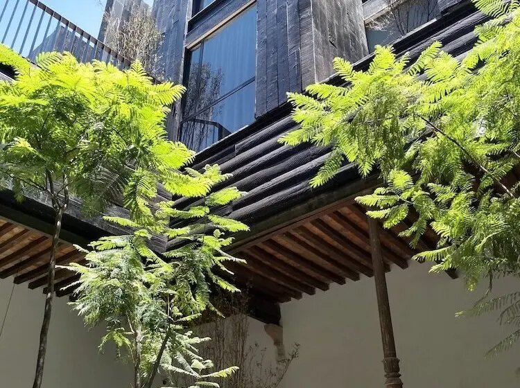 Elena De Cobre, Leon, A Member Of Design Hotels