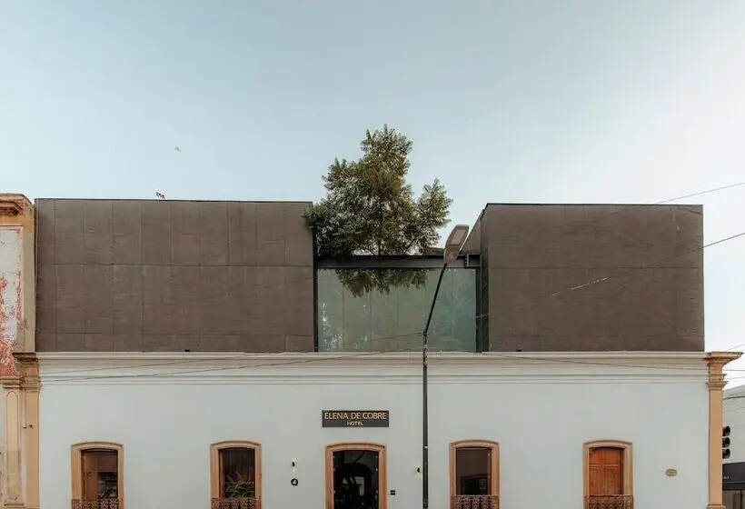Elena De Cobre, Leon, A Member Of Design Hotels