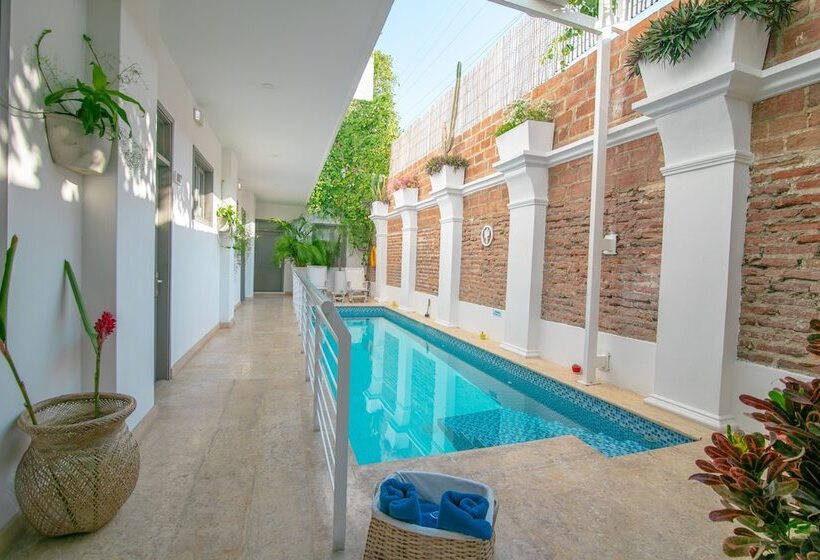 فندق El Cactus Luxury Apartments In Historic Center
