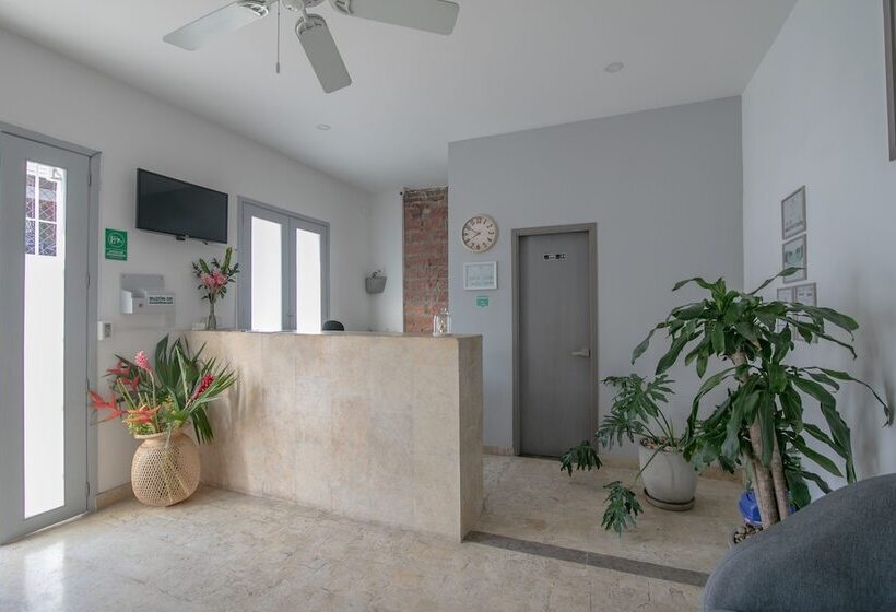 فندق El Cactus Luxury Apartments In Historic Center