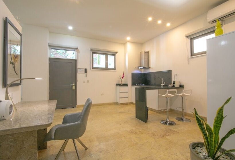 فندق El Cactus Luxury Apartments In Historic Center