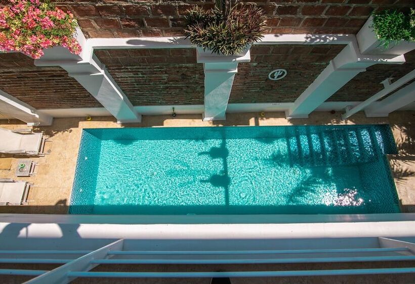 فندق El Cactus Luxury Apartments In Historic Center