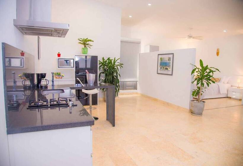 فندق El Cactus Luxury Apartments In Historic Center