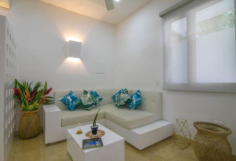 فندق El Cactus Luxury Apartments In Historic Center