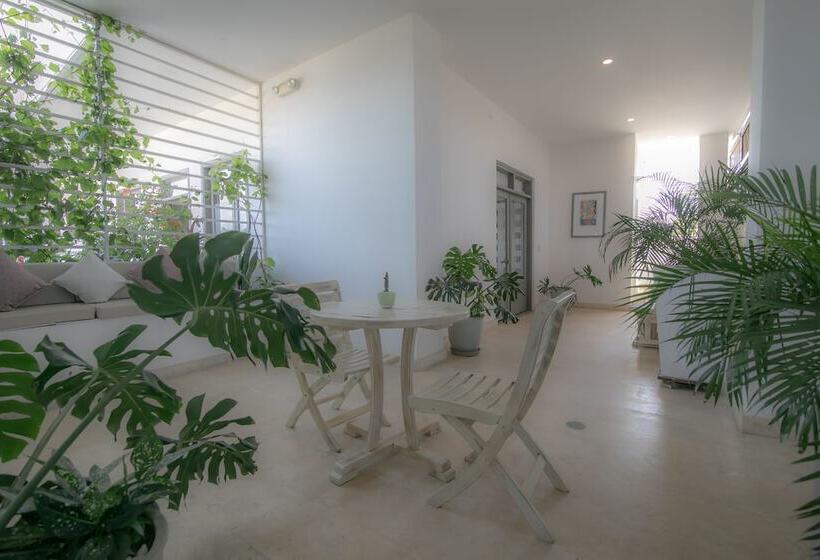 فندق El Cactus Luxury Apartments In Historic Center