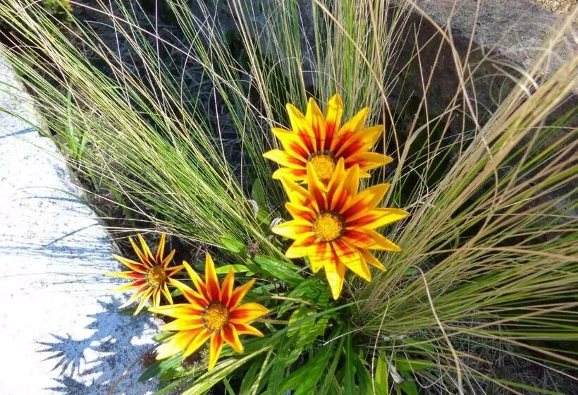 هتل El Descubrimiento Resort Club