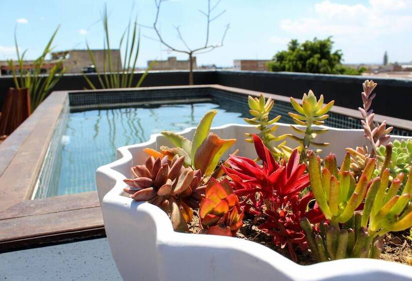 Elena De Cobre, Leon, A Member Of Design Hotels