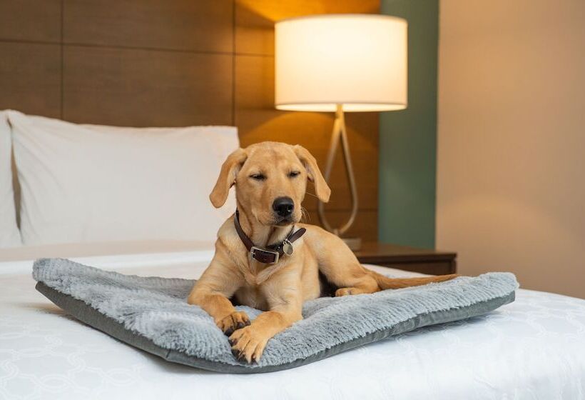 בית מלון כפרי Staybridge Suites Hillsboro North, An Ihg