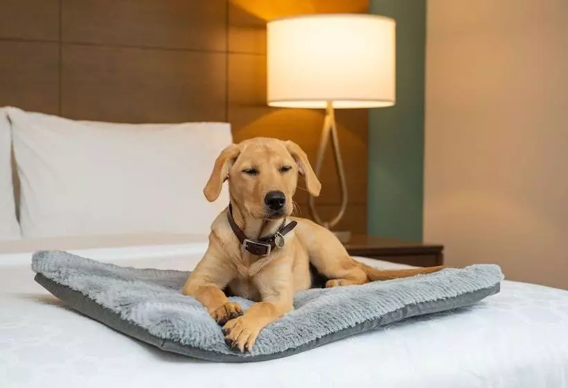 Hotelli Staybridge Suites   Hillsboro North, An Ihg