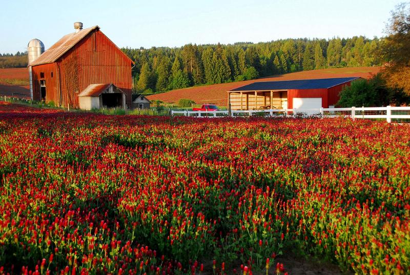 בית מלון כפרי Staybridge Suites Hillsboro North, An Ihg