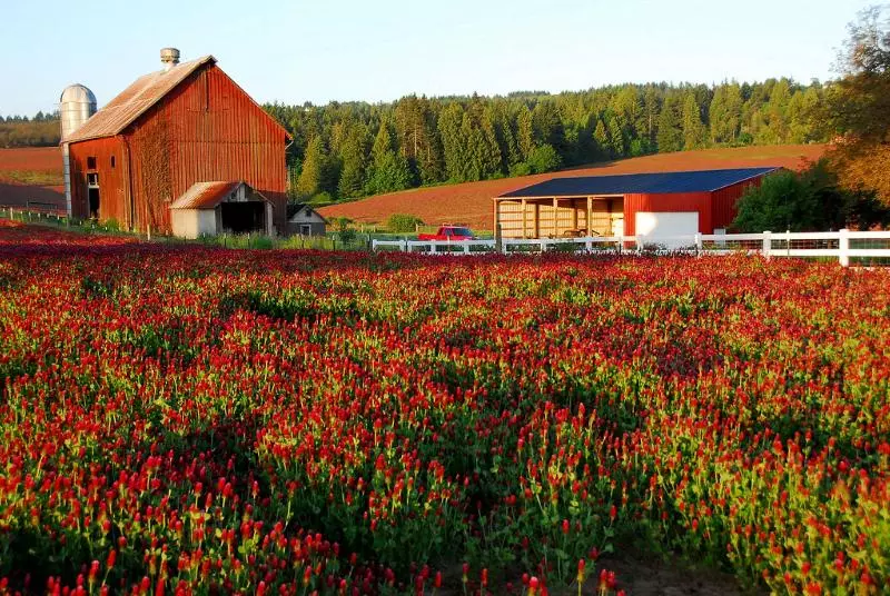 Hotelli Staybridge Suites   Hillsboro North, An Ihg