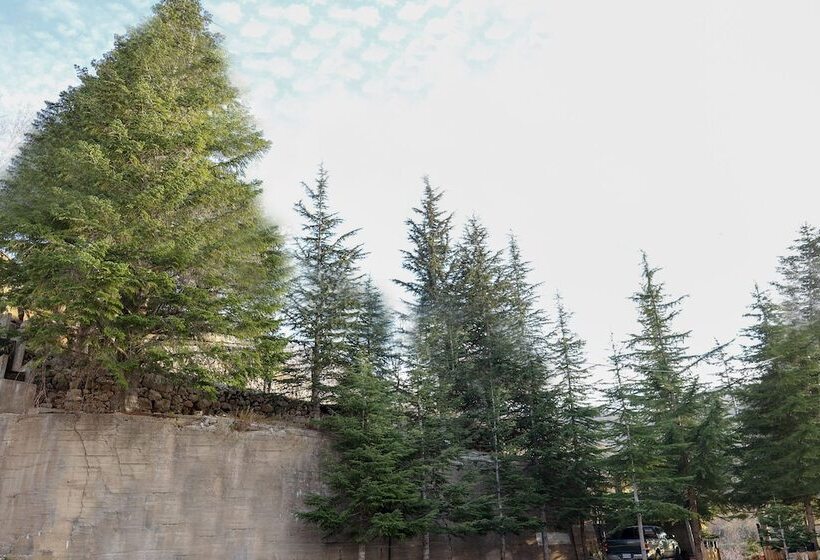 تختخواب و صبحانه Chateau Deau Faraya