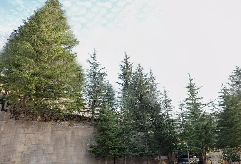 تختخواب و صبحانه Chateau Deau Faraya