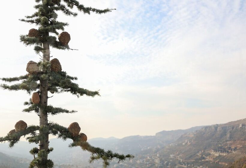 تختخواب و صبحانه Chateau Deau Faraya