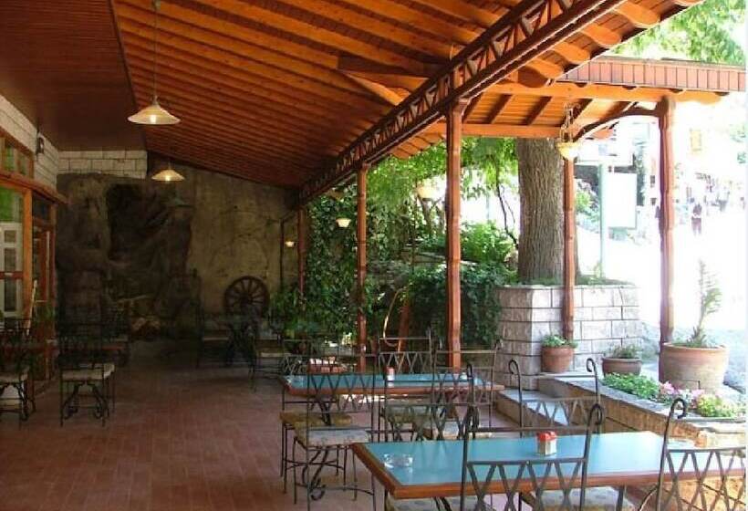 Отель Thermal Park