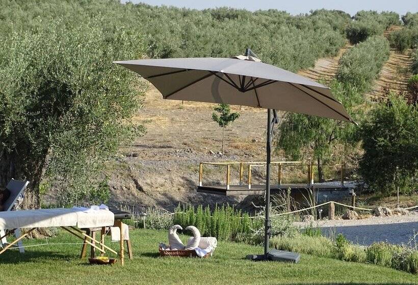 Monte Da Estrela Country House & Spa