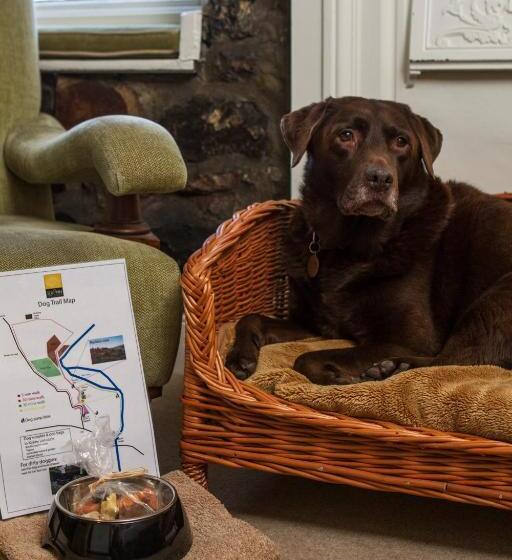 ユースホステル Sun Inn