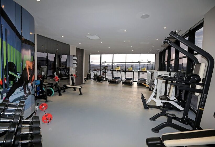 Отель Dedeman Cizre