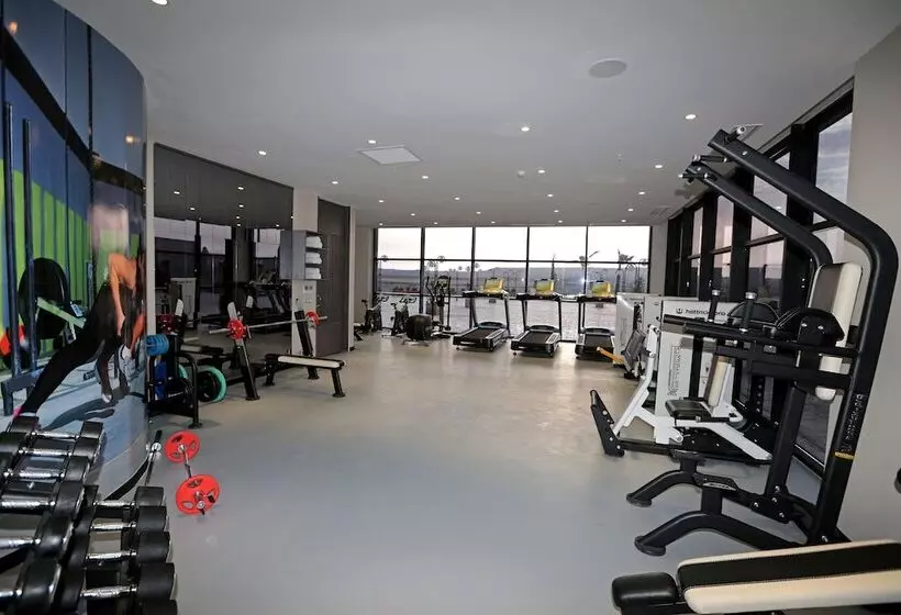 هتل Dedeman Cizre