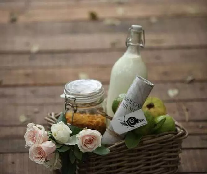 Hotelli Hills & Hues