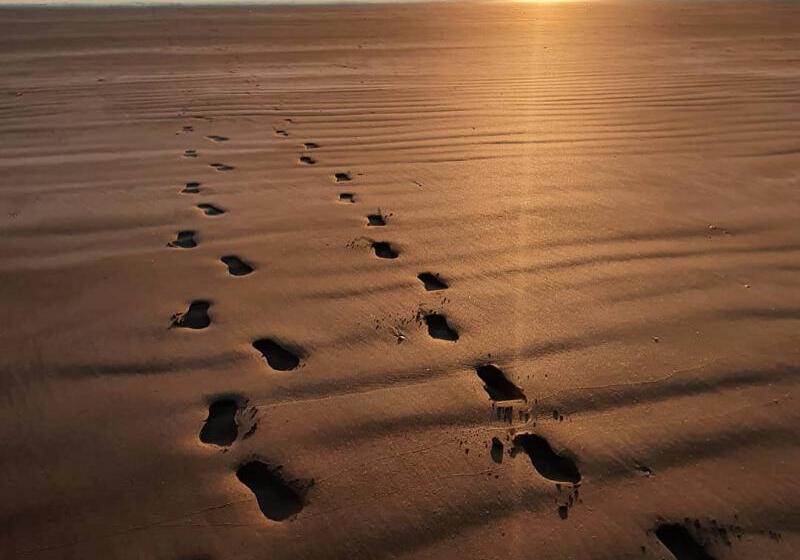 ホテル Kingfisher Lodge