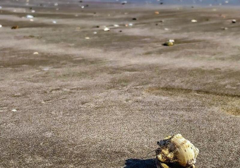 ホテル Kingfisher Lodge