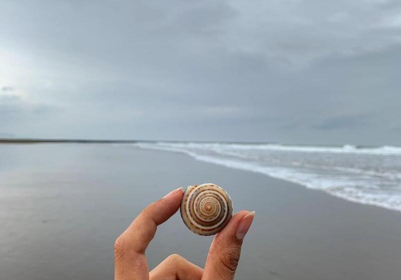 ホテル Kingfisher Lodge
