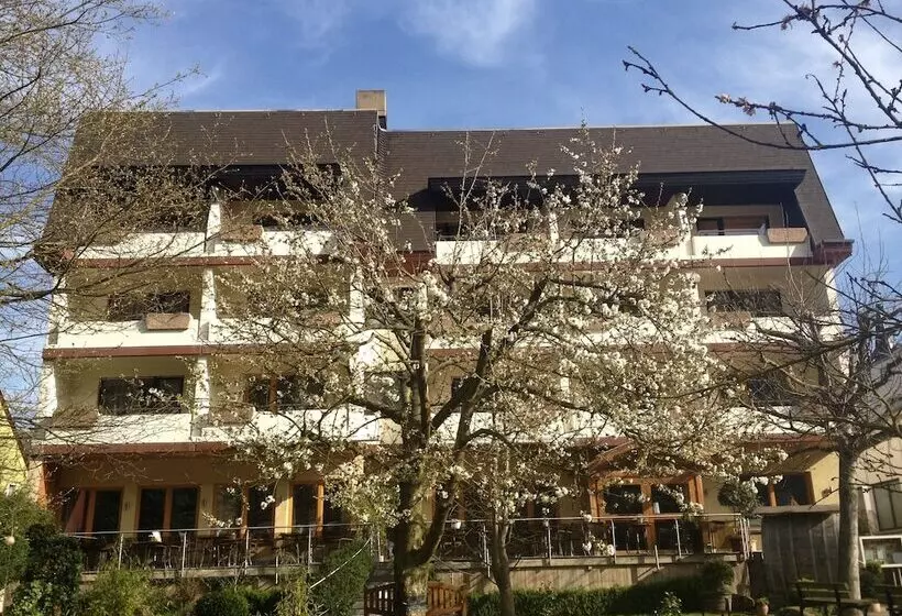 Hotel Weingut Dehren
