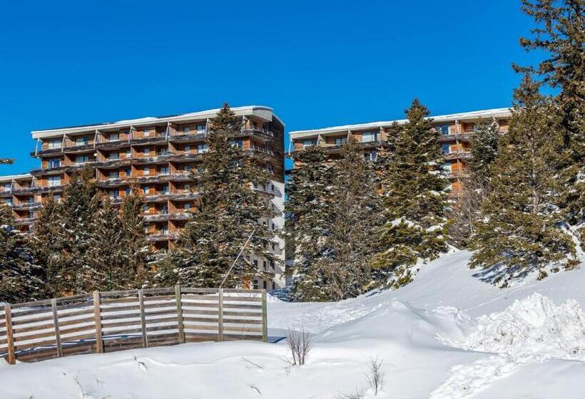 Noemys L Ecrin Des Neiges