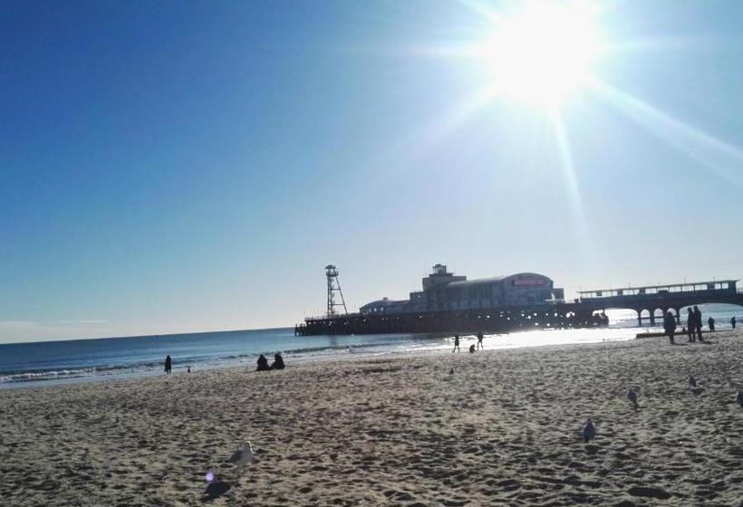 بنسيون Blue Palms